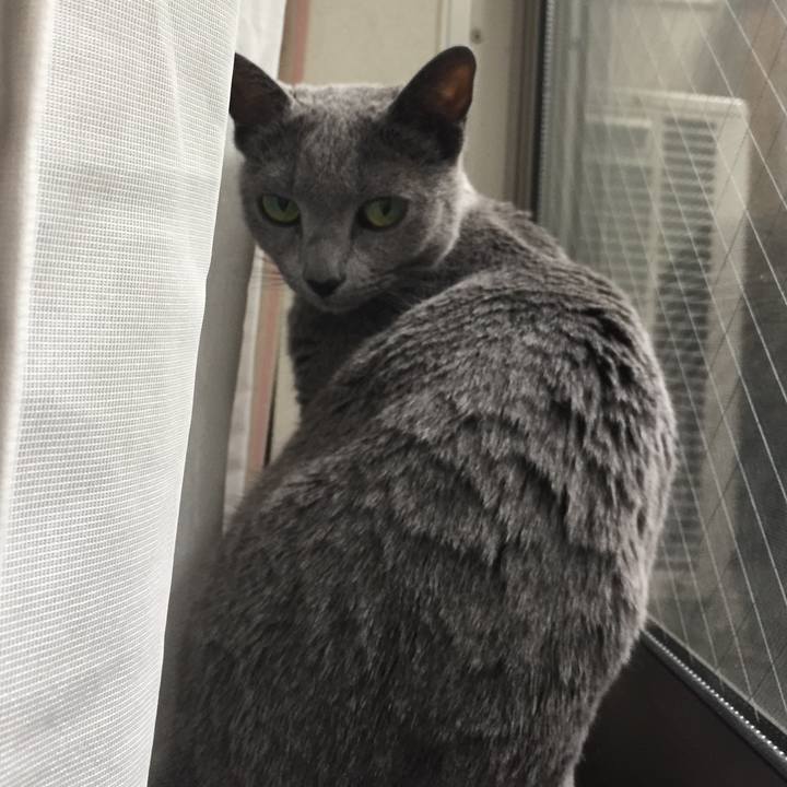 A4c818fa 3728 456d 81f2 b6c78a8801c8 1529969622622