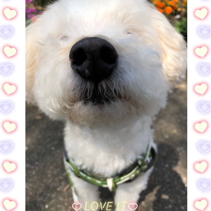 A4c83158 fdf6 4cbe a2f7 b7355ef4c88b 1522450063099