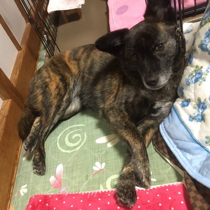 A4c83242 224e 44f4 9f1b ec7b02f6fb43 1516805046599