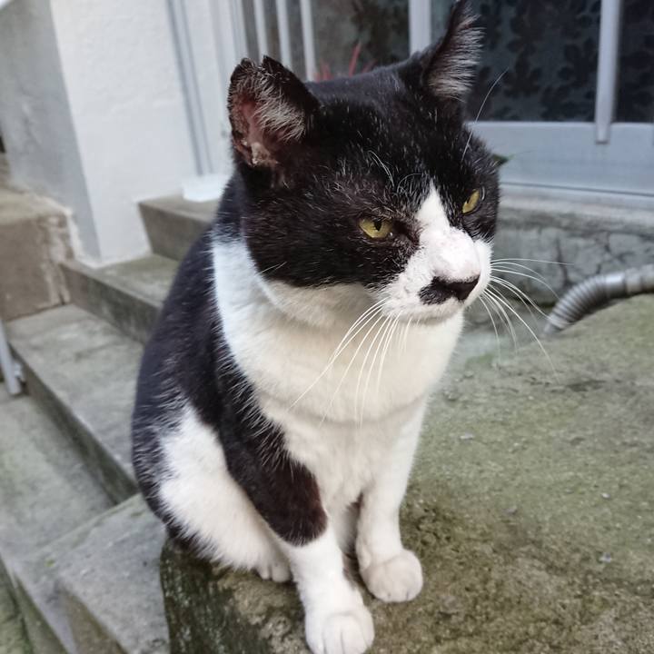 A4c83bb0 dd7c 47e2 b6ba dbfd73aa26e4 1666510661879