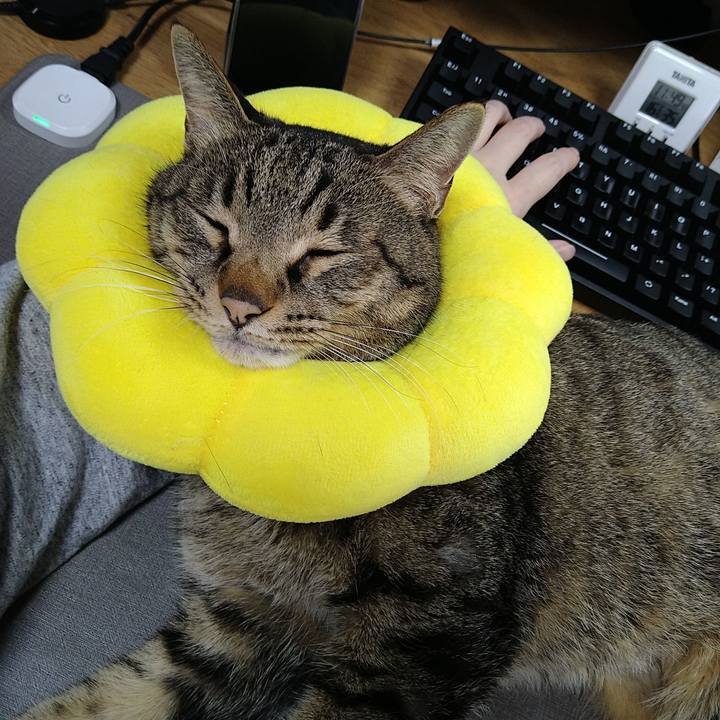 A4c85e34 0bce 4a7e b960 7fecd3df926d 1736909245164