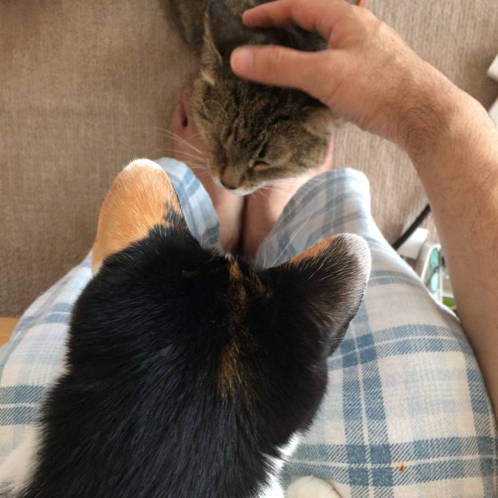 A4c8693d 82c9 4570 b931 9172392b6cc1 1527464612224