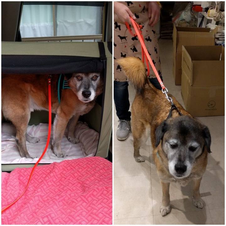 A4c899ec dad2 4934 bede afdbaba2de5b 1553315017692