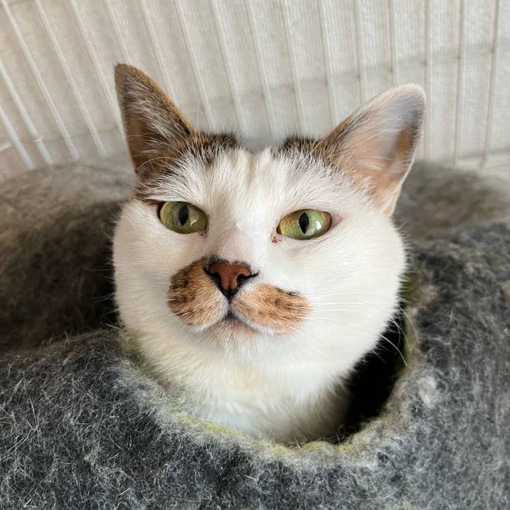 A4c8a3c2 3756 4995 b88d 3bdd6c2f4e63 1643126191469