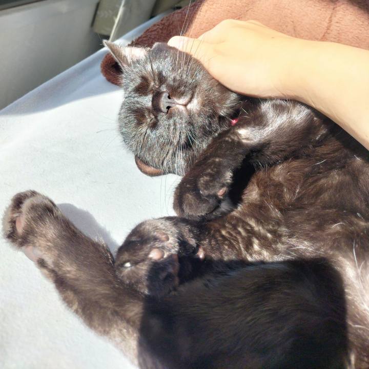 A4c8ac2e 8736 4421 a267 638a8a667dc8 1695982481139