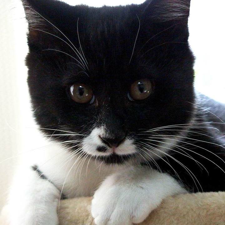 A4c8b4b4 ceae 474e 9c8e 321123c16d13 1532091993697