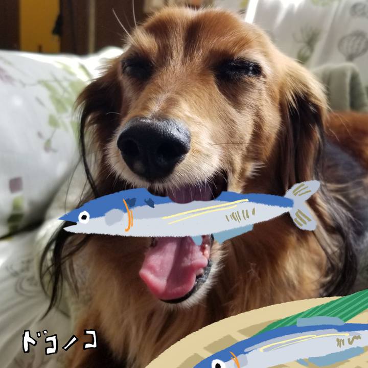 A4c8c773 831e 4834 8adb ec33475c6ddb 1789903783174