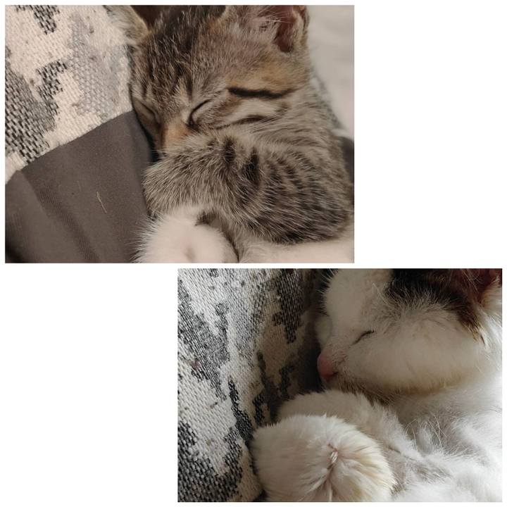 A4c9458e 6132 410e 8fc2 d2dadf36c559 1624405932026