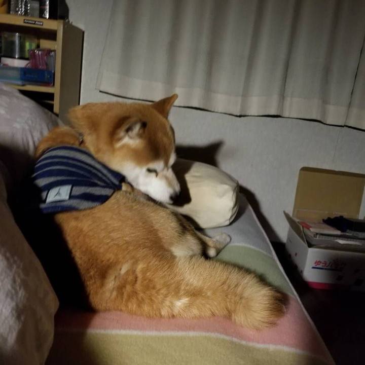 A4c953b1 4028 4f7c 87c9 daf242795acb 1580553947617