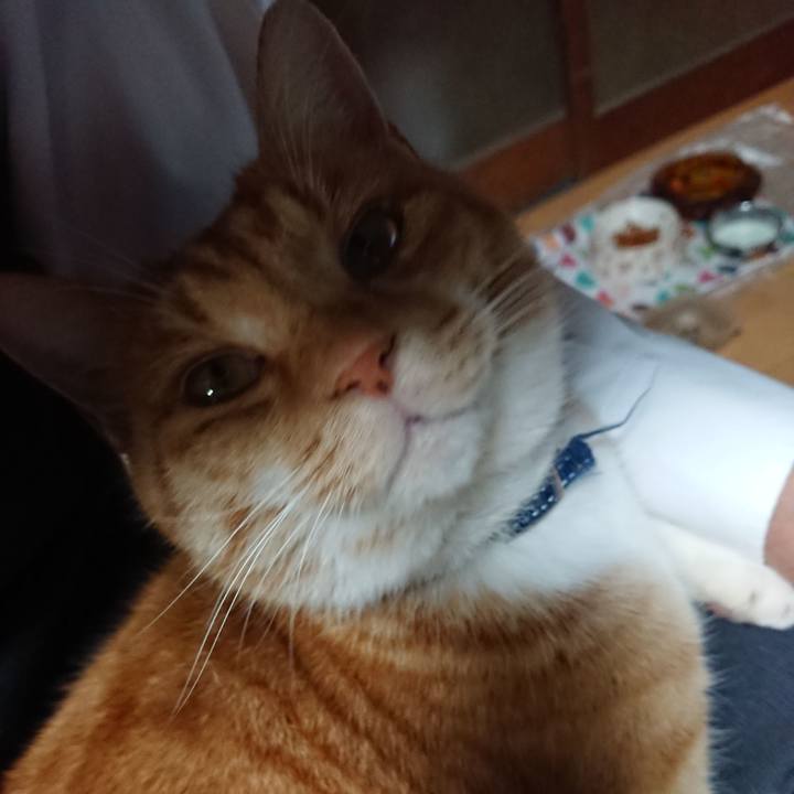 A4c9888f 12e6 4055 9825 219ef407f2a9 1606467922173