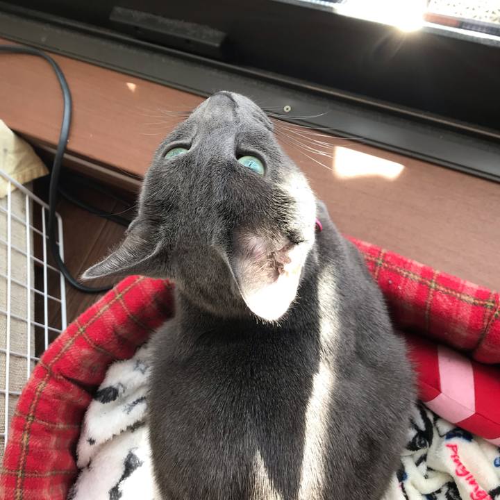 A4c9b1da b307 48a9 9ede 4ed4ae0dcd65 1553046938796