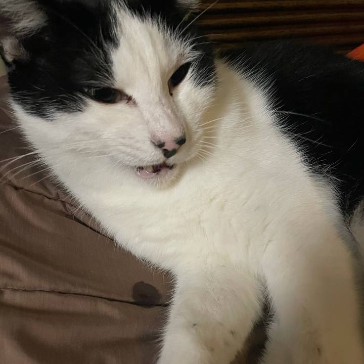 A4c9bdb4 1cc5 415c 9ec8 af5781c39ac9 1633363680664