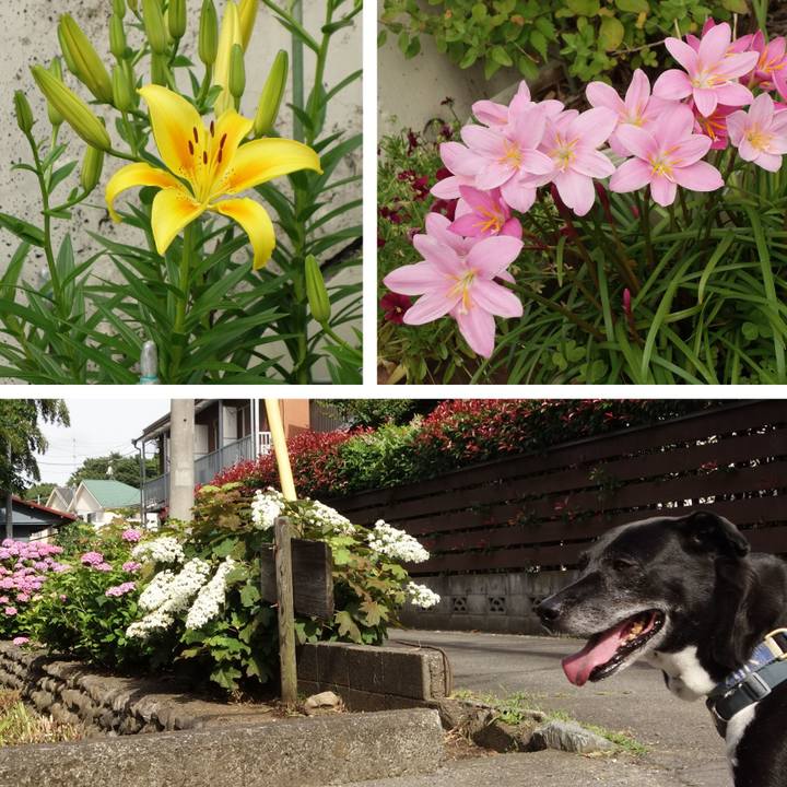 A4ca5212 57a1 4b17 9f25 c1b6afaf8031 1717723904671