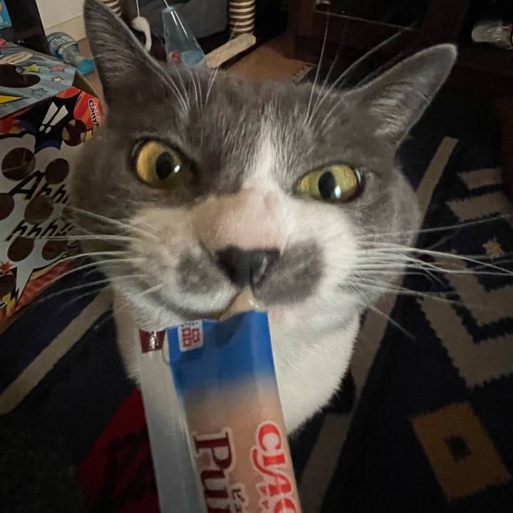 A4ca6687 c63d 4781 a928 98774bc27937 1671356978417