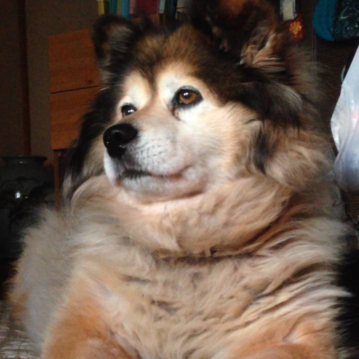 A4ca79dc 8bfa 47cc b57d 37c68c1b4f96 1563740249338