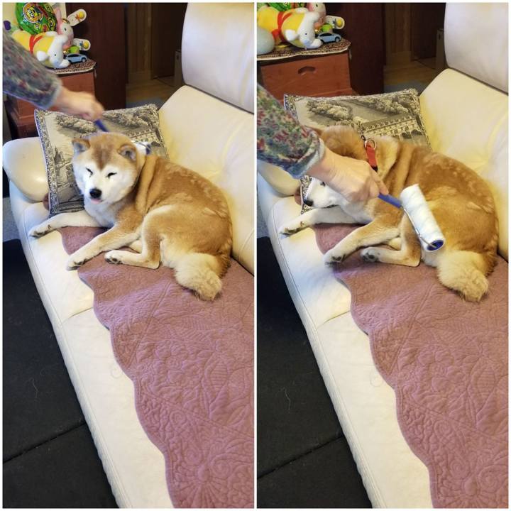 A4ca9695 9e61 4340 acb5 5af902334b47 1737760456422