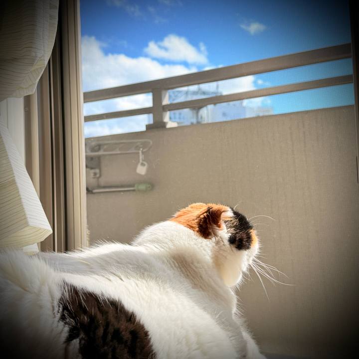 A4caa512 1262 45f4 8da2 32c6212d16c6 1758168302616