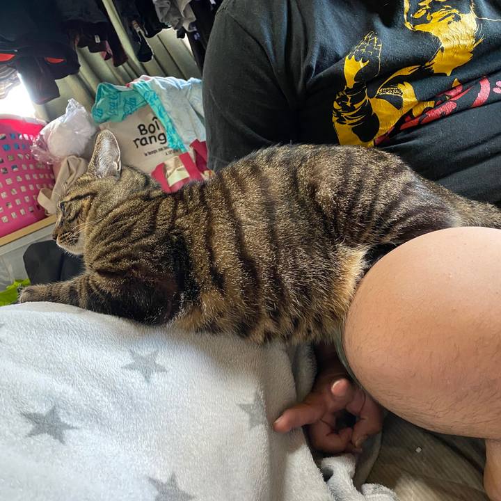 A4caed03 ec03 4fef b508 7fbcd2afb43b 1606658559366