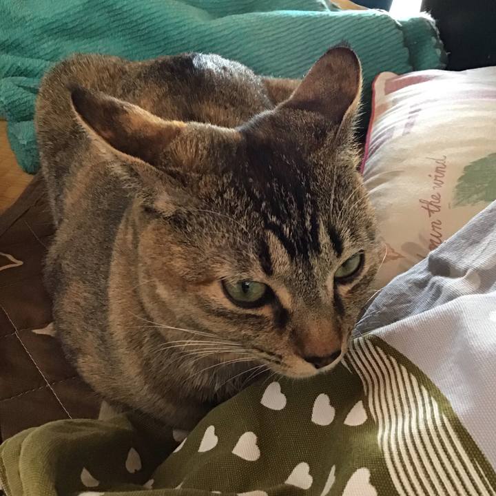 A4cb043a fa68 4c8a 9a14 088addefc696 1584596867715