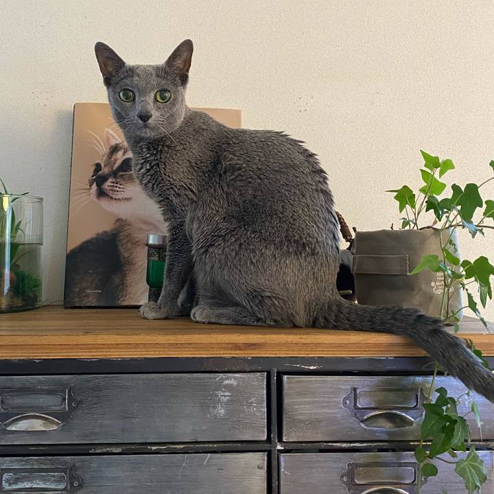 A4cb17d1 385e 4e75 8f4d 23c58e6c1b2f 1616652972127