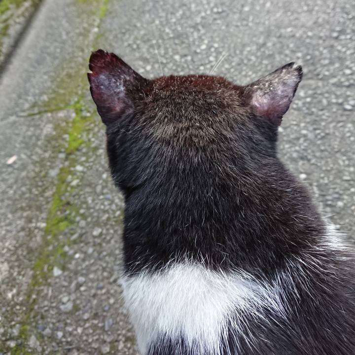 A4cb1a5b 4c40 4e15 b6fe 8d0b5e61b794 1629713302300