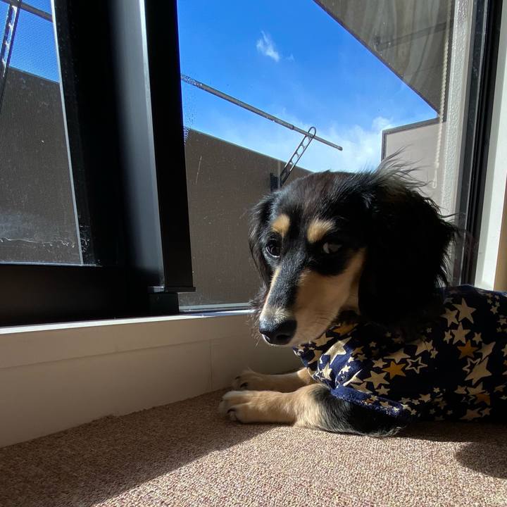 A4cbd376 5f86 48c7 8ccf 83bdcdb027e8 1674613606989