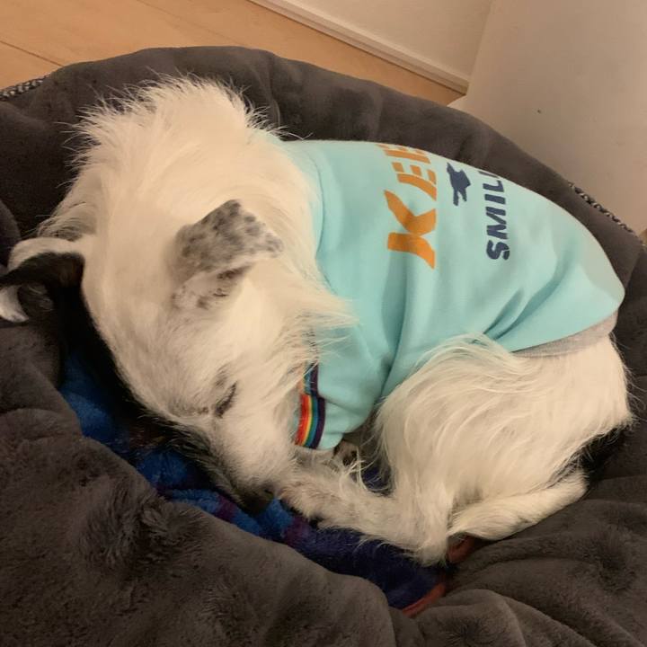 A4cc33ce 0d9e 41c3 ae65 448ee6e6138b 1645093355793