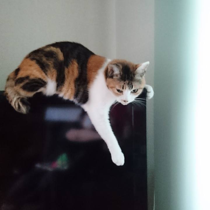 A4cc5666 09e2 481d 9e9a 2f420bdd6ec5 1600591669072