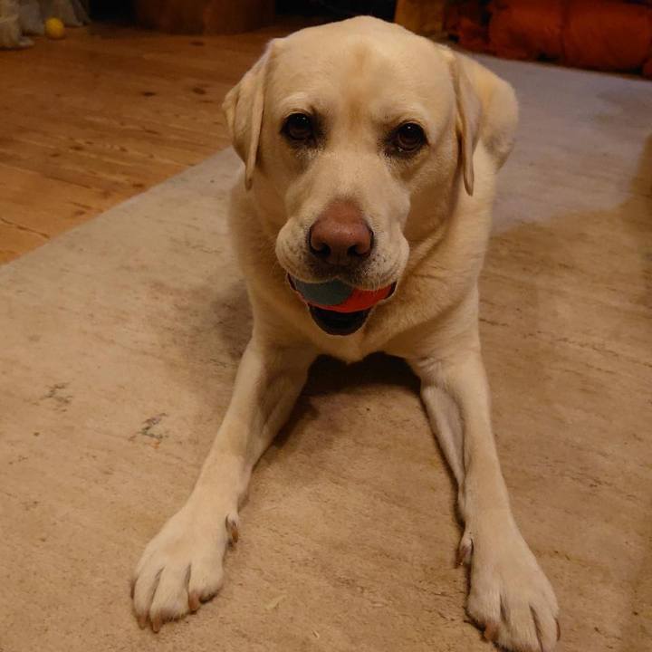 A4cc610b d139 4e35 8389 8bc157ed9b23 1639479095348