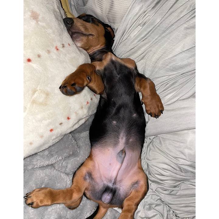 A4cc6b9e 48b3 4b34 9cdf 75bb964a48c3 1637180507444