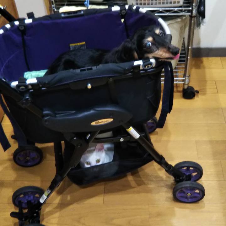 A4cc7618 2483 42dd aa45 d20577d0a754 1625548353971