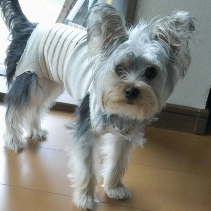 A4cc7eb5 a954 4765 adad c75b76916509 1541680784314