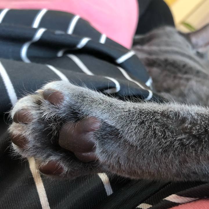 A4cc8790 817a 4ecc bee2 86082259eeed 1582079069649