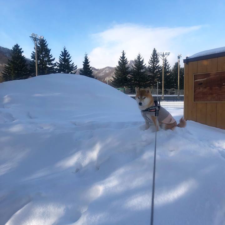 A4cd0c3f 5ea3 4439 b4a1 ce5a69be2a7f 1550017893988