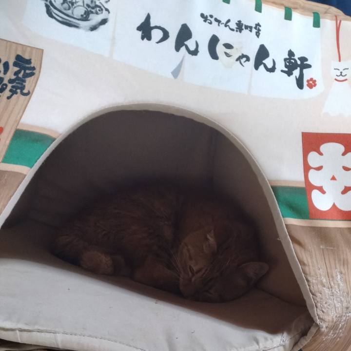 A4cd8c53 9881 4e04 a85a 41d2254ed9a7 1675686070342