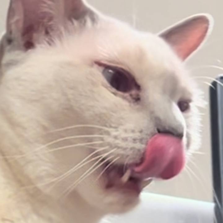 A4cdbc85 bed8 4e27 8d6d 20fd523b3030 1742971810500