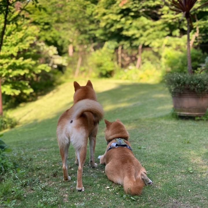 A4cdcf9b 2430 489e b00e 035ab0b0df91 1653980641974