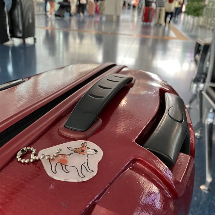 A4ce314d 3101 44f8 b52d 39994c071dd7 1695277607154