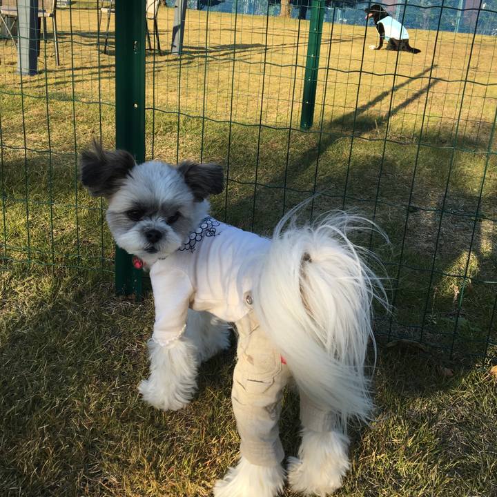 A4ce47dc 471a 4e72 82d2 6350a9c15c16 1510369039508