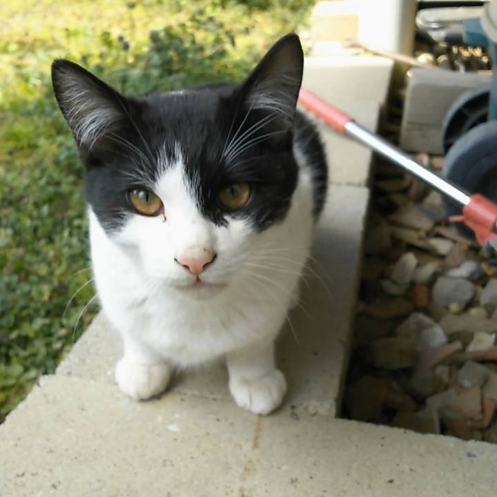 A4ce8998 65cf 4195 bf5c 33f10ed07552 1548558185292