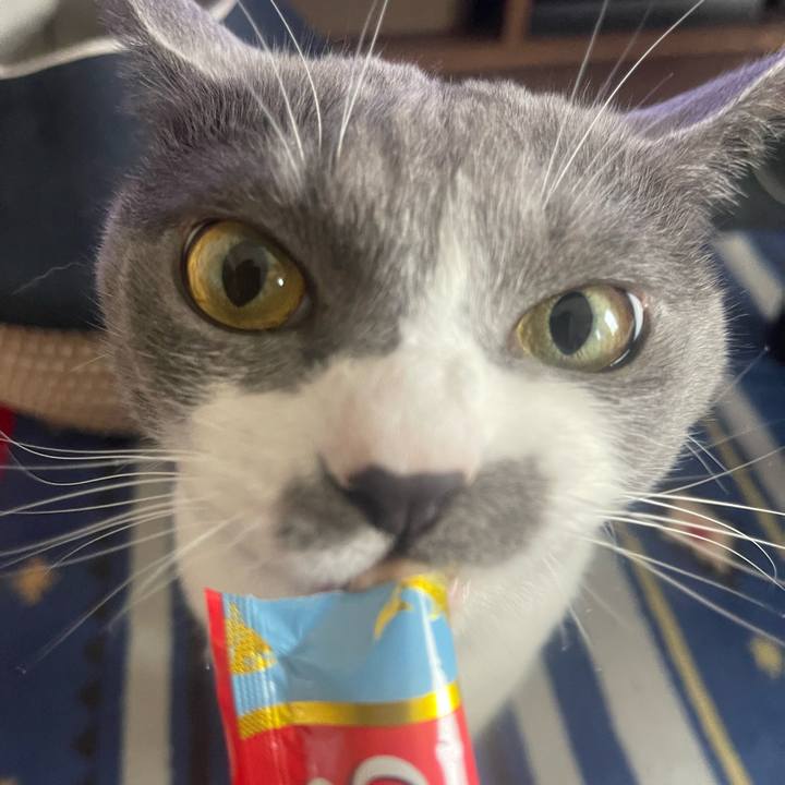 A4ce9ee4 a1a7 42d1 8a5a 085ac8e9e1e6 1687501325096