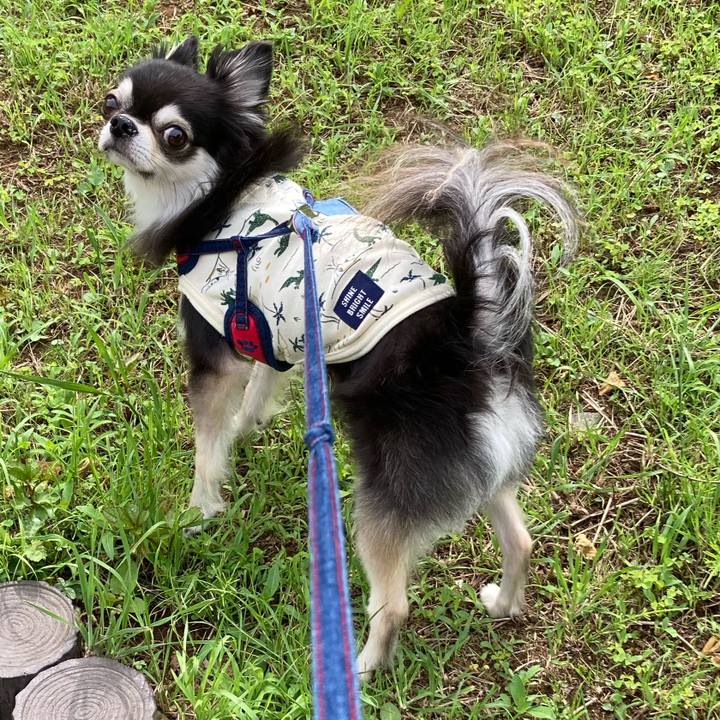 A4cef2ec c7c1 454c aefc 90de1aad3605 1716517904374