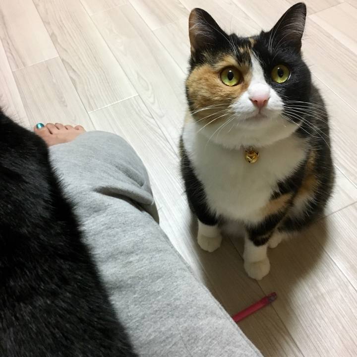 A4cf059c 02f4 4b31 b68c 55343d4102be 1516886180236