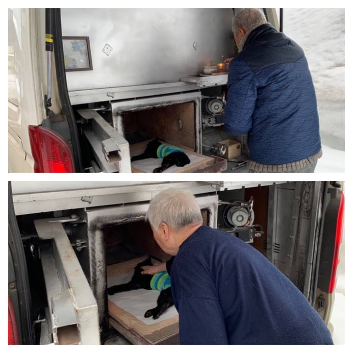 A4cf146b ef83 4ca9 b8e5 42d1f2062e1f 1647672845445