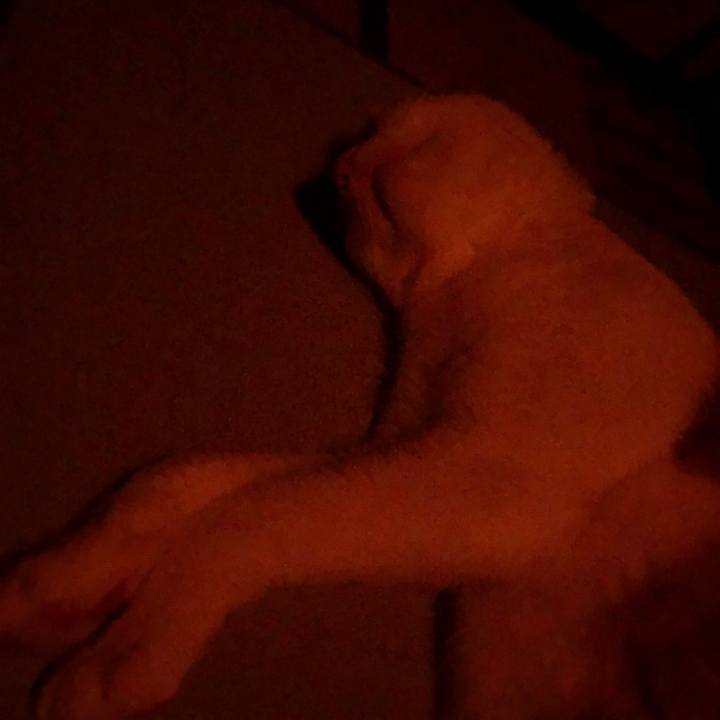 A4cf2696 db98 4326 8396 1f779bdd2e1c 1563201205594