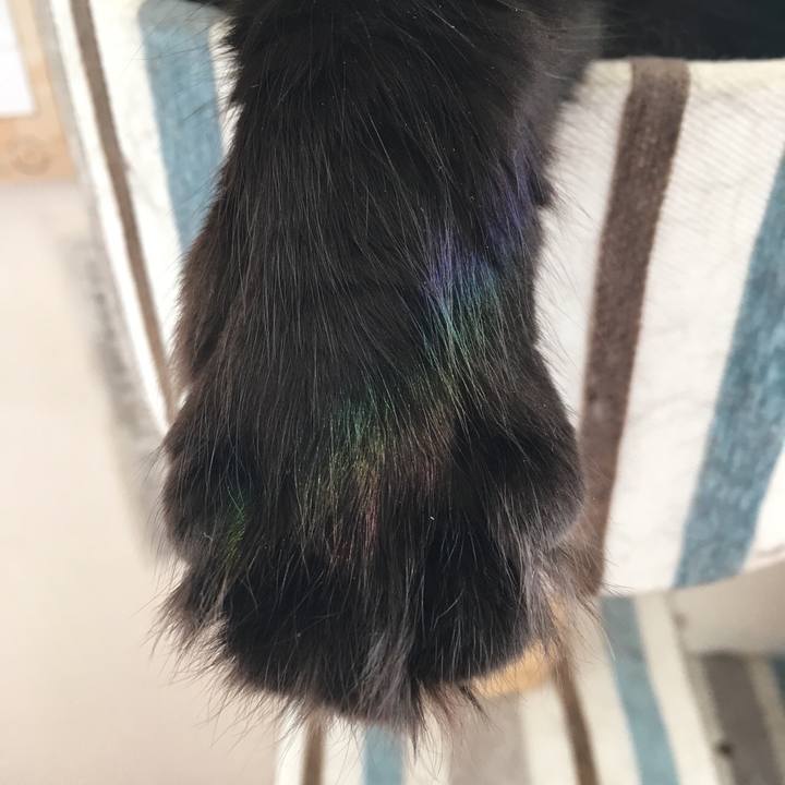 A4cf2db3 efc1 43eb a52b 6c39765205eb 1537342112441