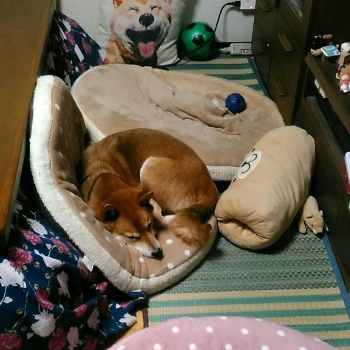 A4cf7682 f29c 42ca b35e 47e08347de92 1574761179178