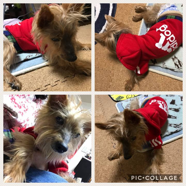 A4cfc9ef 1e31 46d6 b452 dd6ec11aa840 1515930676271