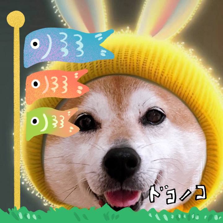 A4cfd1bd f425 438e afc8 7989e6032c11 1714903097264