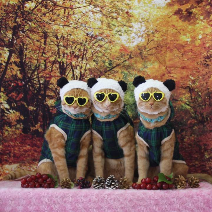 A4cfd4a1 0fa8 430c 94ae ca6245351639 1764122281013